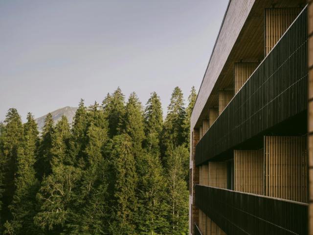 Bakuriani Apartment With Forest Around Buitenkant foto